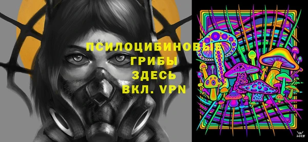 метадон Гусь-Хрустальный