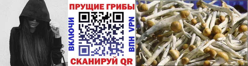 Галлюциногенные грибы мухоморы  Дзержинский 